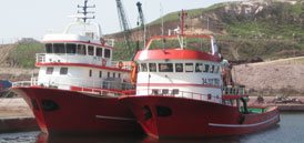 Supply Vessel (2x) 30 mt / 1200 Bhp / 2006 Build